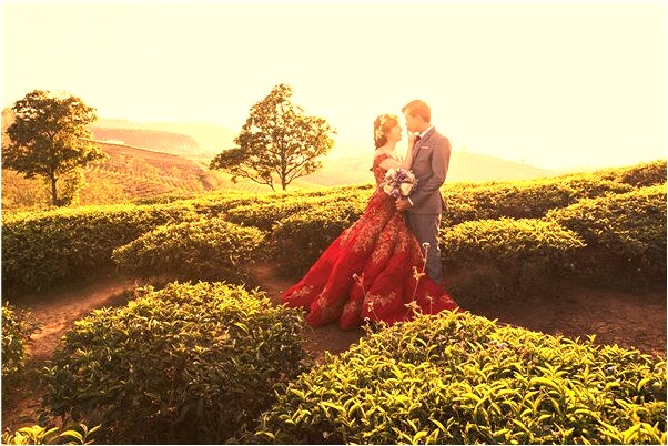 夢到發洪水有蟒蛇在門口經過什麼預兆_周公解夢官網