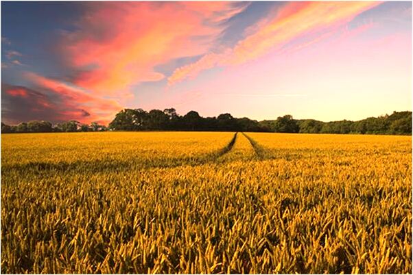 夢見男徒弟口交是什麼徵兆_周公解夢官網