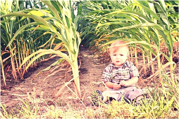 夢到花七佰多買東西是什麼徵兆_周公解夢官網