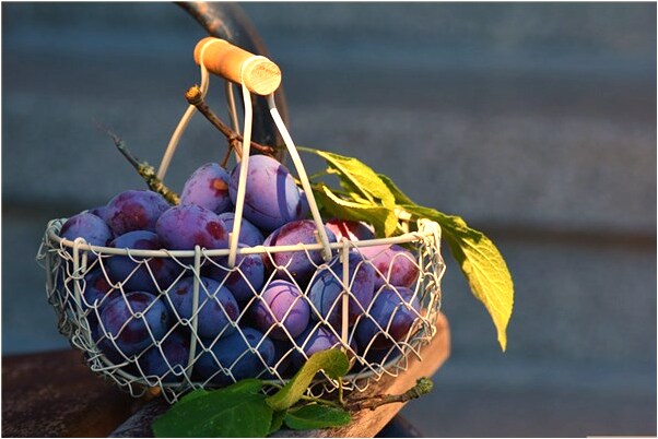 夢到了把書放在屋頂預示什麼_周公解夢官網