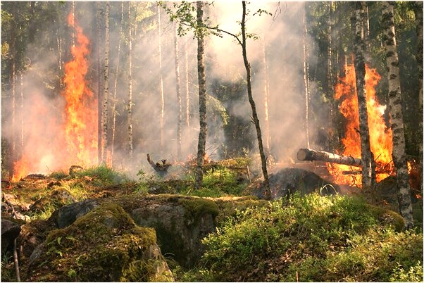 夢到了胳膊上大包有什麼意思_周公解夢官網