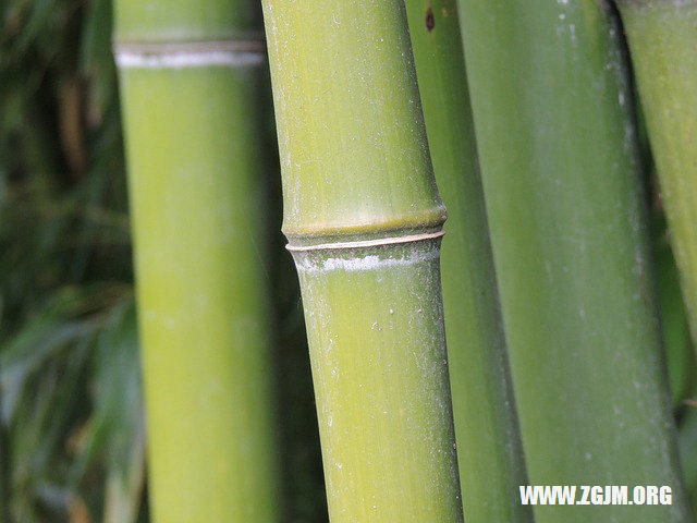 夢見鄰居偷我的錢_周公解夢夢到鄰居偷我的錢是什麼意思_做夢夢見鄰居偷我的錢好不好_周公解夢官網