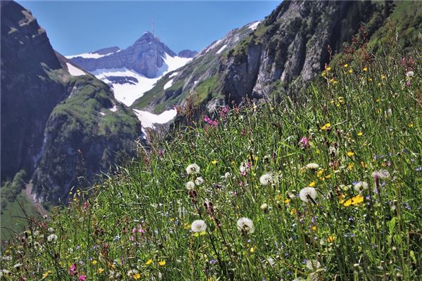 夢見綠色的山有什麼寓意嗎_周公解夢