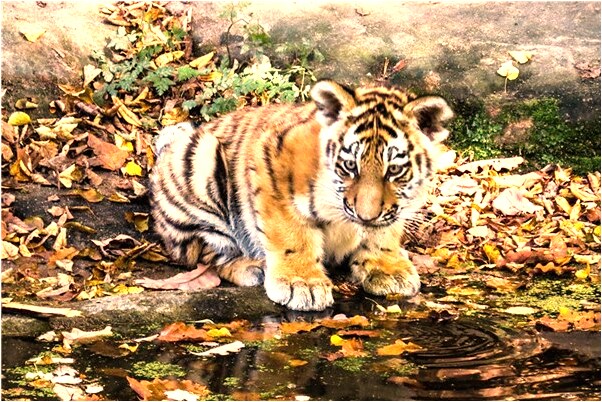 夢到蹲監獄了最愛的人不來看我預示著什麼_周公解夢官網