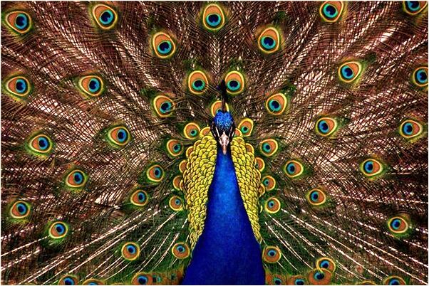 夢到了車胎破胎有什麼意思_周公解夢官網