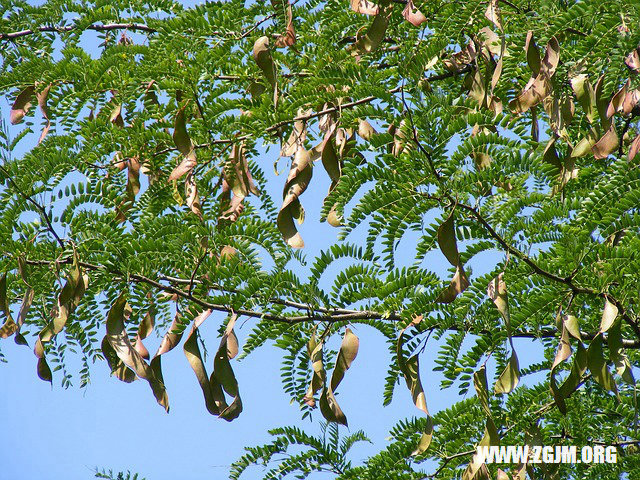 夢見找小姐_周公解夢夢到找小姐是什麼意思_做夢夢見找小姐好不好_周公解夢官網