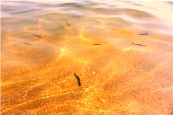 夢到別人洗頭有什麼寓意嗎_周公解夢官網