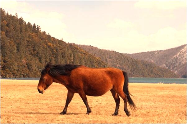 夢到了一個女人對其結論很有信心是什麼預兆_周公解夢官網