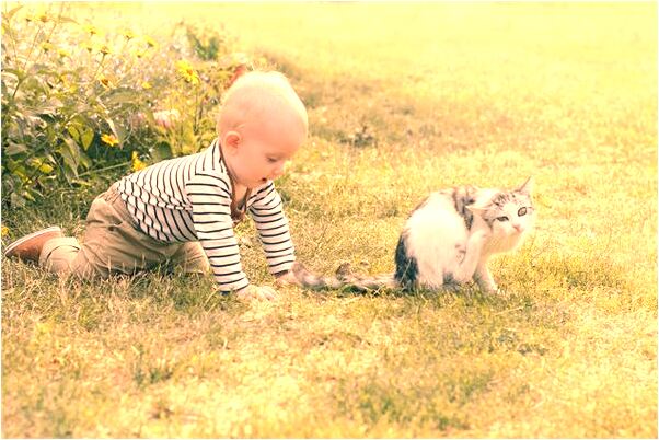 夢見自殘自己左手意味著什麼_周公解夢官網
