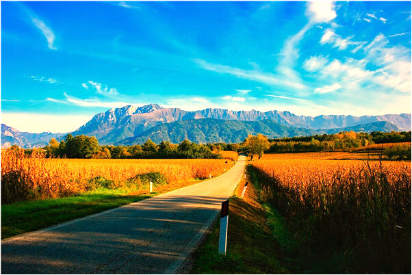 夢見長鬍子的女人是什麼預兆_周公解夢官網