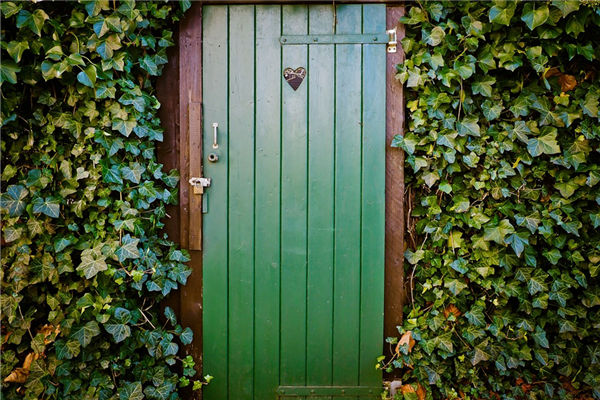 夢見茅廁_周公解夢