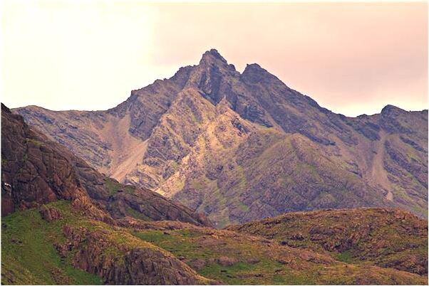 夢到了母雞叨我兒子的手會有什麼預兆_周公解夢官網