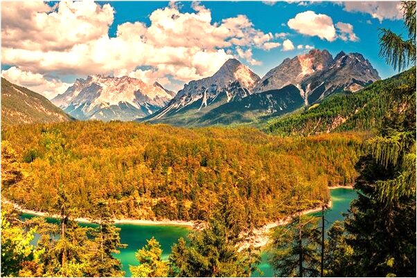 夢到了手指被人割半拉預示什麼_周公解夢官網