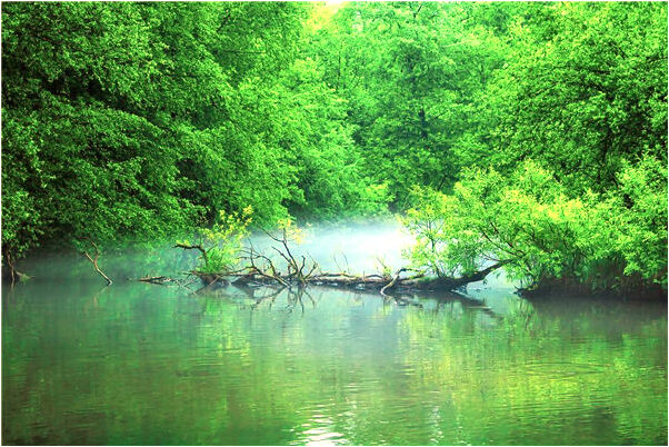 夢到兒子淹死了是什麼意思_周公解夢官網