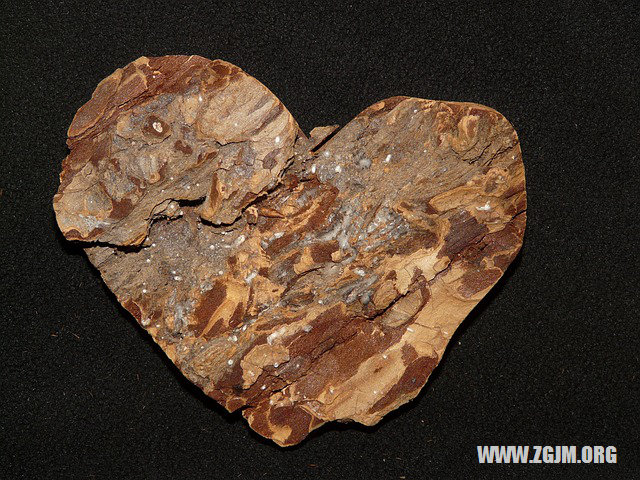 夢見白頭髮長出來了_周公解夢夢到白頭髮長出來了是什麼意思_做夢夢見白頭髮長出來了好不好_周公解夢官網