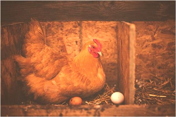 夢到公寓屋頂垮塌是凶兆還是吉兆_周公解夢官網