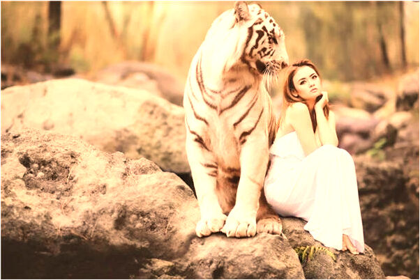 夢到地獄刑具是啥意思_周公解夢官網