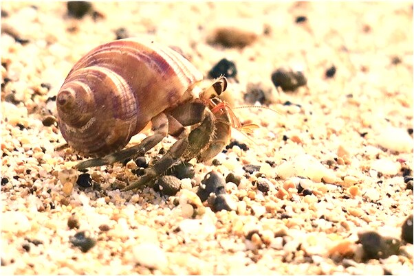 夢見在屋子裡擦灰是啥意思_周公解夢官網