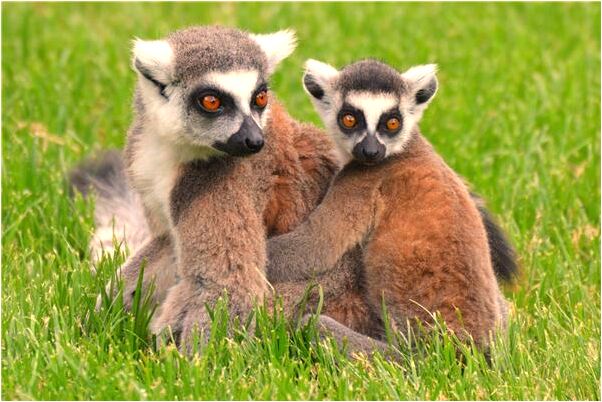 夢到了自己自己一絲不掛預示什麼_周公解夢官網