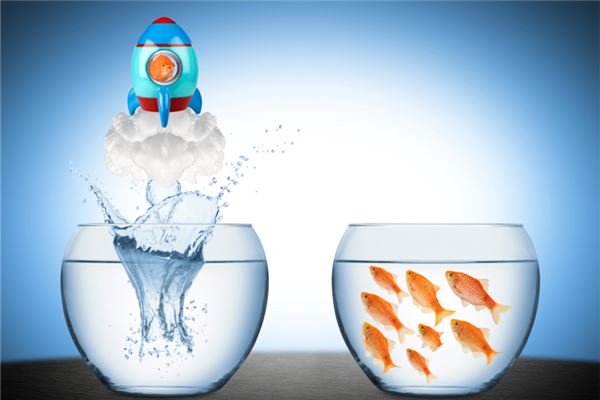 夢見魚缸_周公解夢