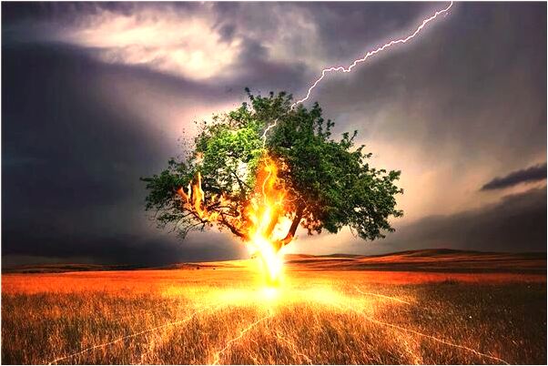 夢到和老婆飛意味著什麼_周公解夢官網