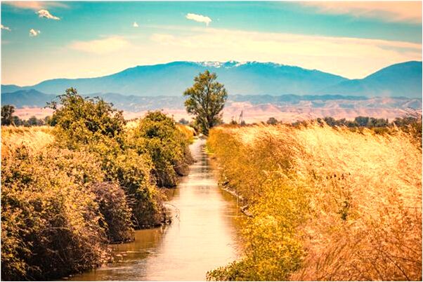 夢到了鳥握手是什麼意思_周公解夢官網