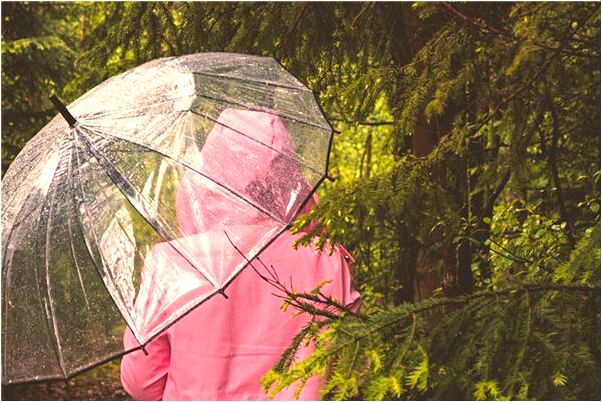 夢見到國外玩什麼預兆_周公解夢官網