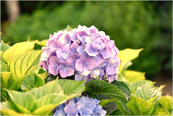 夢到手套漏水意味什麼_周公解夢官網