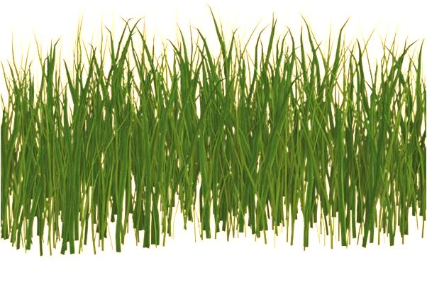 夢見三條狗撞死二條是不是好的徵兆呢_周公解夢官網