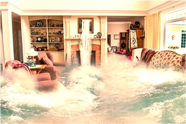 夢到了貓吃小雞仔是凶兆還是吉兆_周公解夢官網