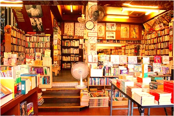 夢見我和一隻狗感情很好是什麼預兆？_周公解夢官網