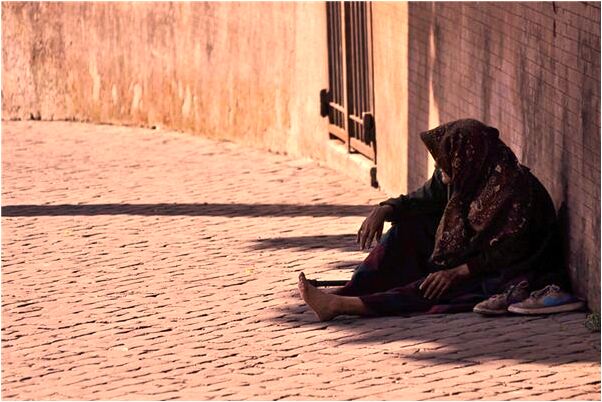 夢到了狗和老鼠有什麼寓意嗎？_周公解夢官網