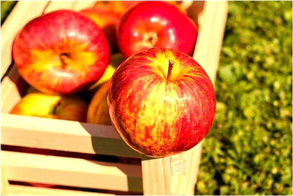 夢到了喜歡的人一下子不見了是什麼兆頭_周公解夢官網