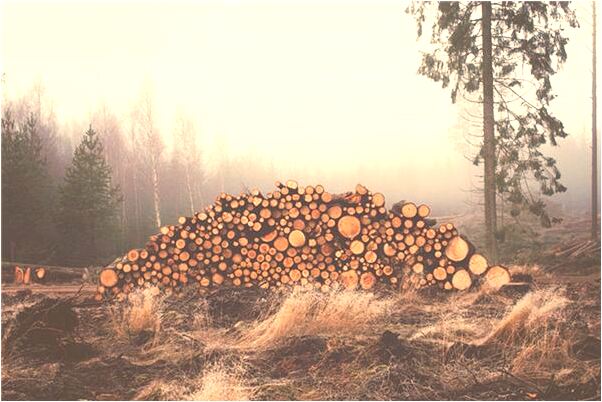 夢到布木偶好不好_周公解夢官網