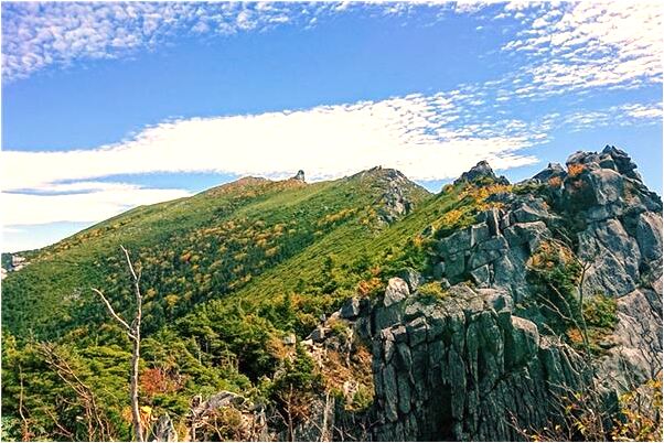 夢見乘車回家是什麼意思_周公解夢官網