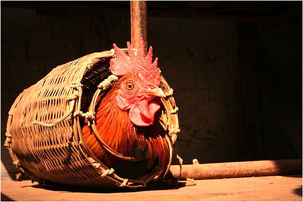 夢見家裡都是女人是什麼啟示_周公解夢官網