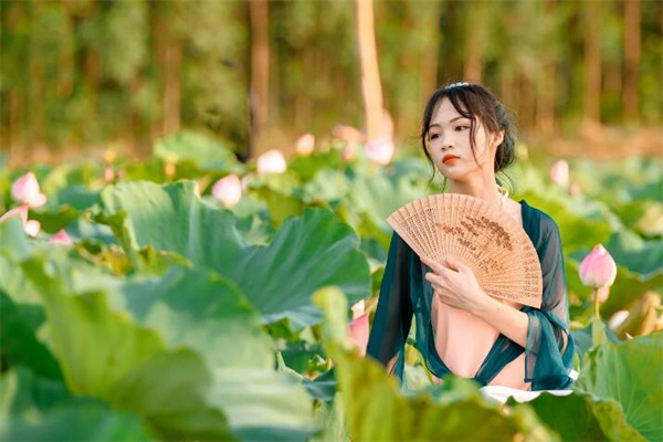 夢到了芭蕉扇是什麼預兆_周公解夢