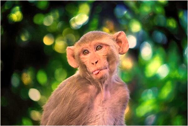 夢見電動車找不到了錢包在車代表什麼_周公解夢官網