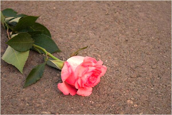 夢見休老婆是什麼意思？_周公解夢官網