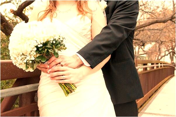 夢到很多隻小貓和一隻老貓有何寓意_周公解夢官網