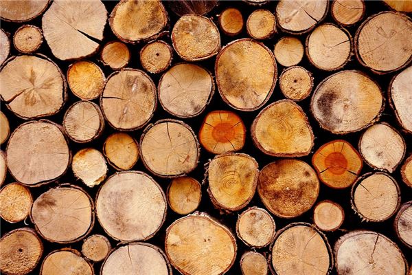 夢到了吃木頭的預兆_周公解夢