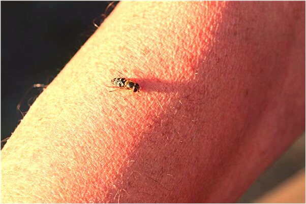 夢到坐車去取錢是啥意思_周公解夢官網