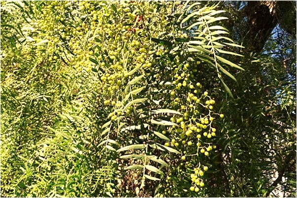 夢見性交很舒服是什麼預兆？_周公解夢官網