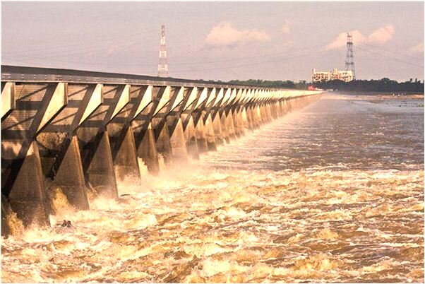 夢見被狗咬傷右胳膊出血是什麼預兆？_周公解夢官網