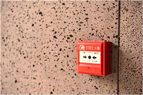 夢到了瘋狗會飛然後撞牆傷了預示什麼_周公解夢官網