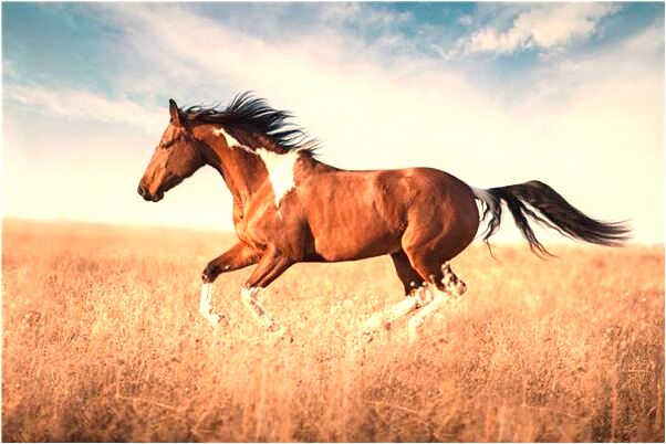 夢見己故老人在我家中會是什麼預兆_周公解夢官網