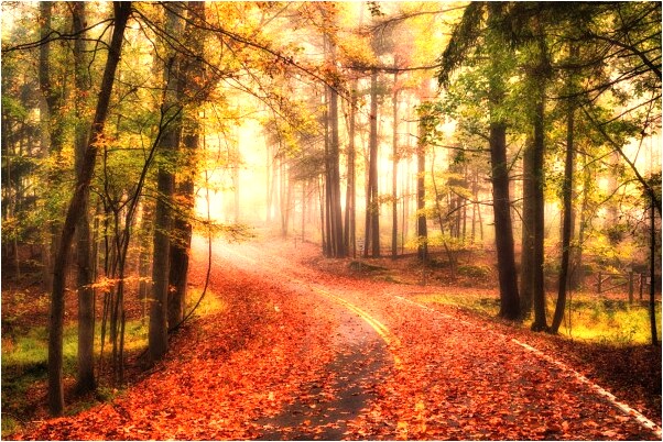 夢到哥哥的女朋友有什麼預示嗎_周公解夢官網