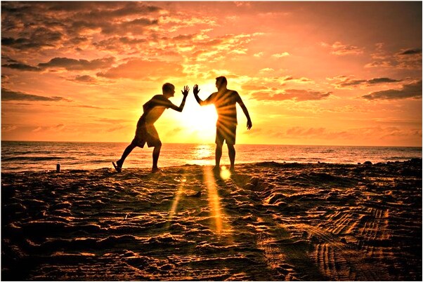 夢到了白母豬和一群小白豬是什麼意思_周公解夢官網