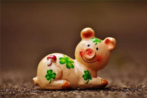 屬豬男人出生年份和性格_十二生肖