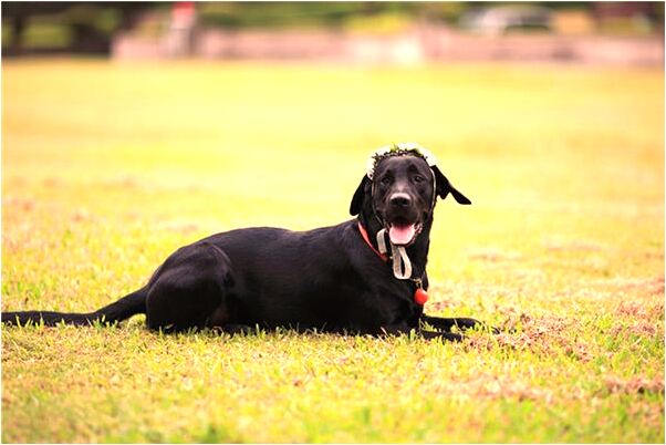 夢見男人給為我畫眉意味著什麼_周公解夢官網